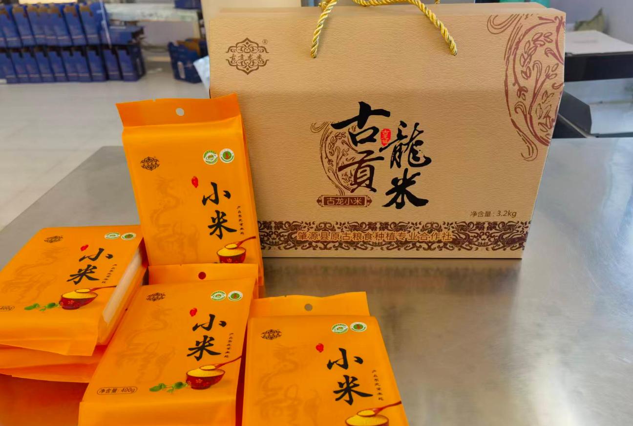古龙贡米小米