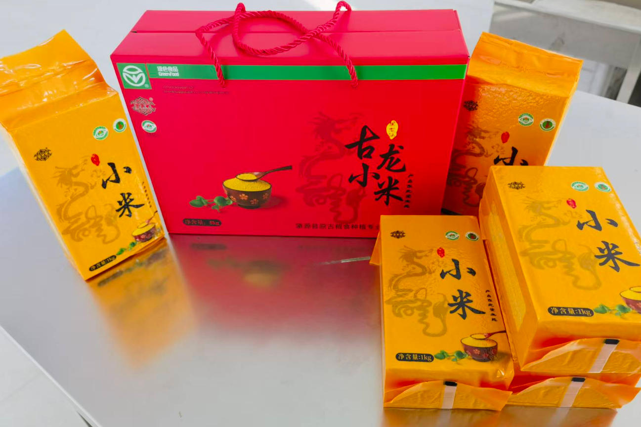 古龙贡米小米